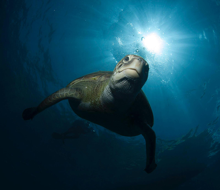 Deja tu silla en la arena y ven a un mundo sin barreras